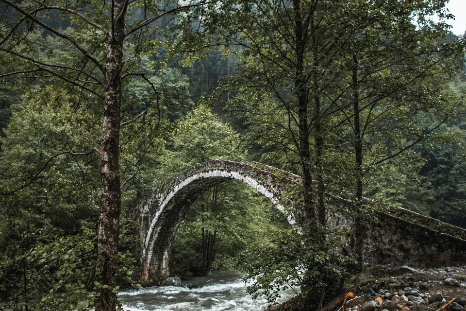 Ormanın içinde dere üzerinde taş kemer köprü